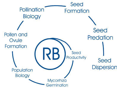 Reproductive Biology of Orchids